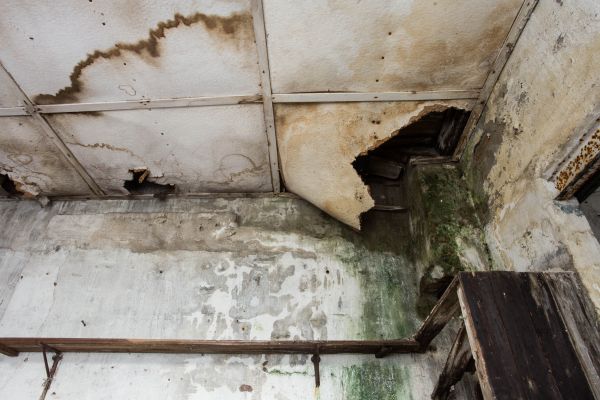 Water Damage Service in Riverton