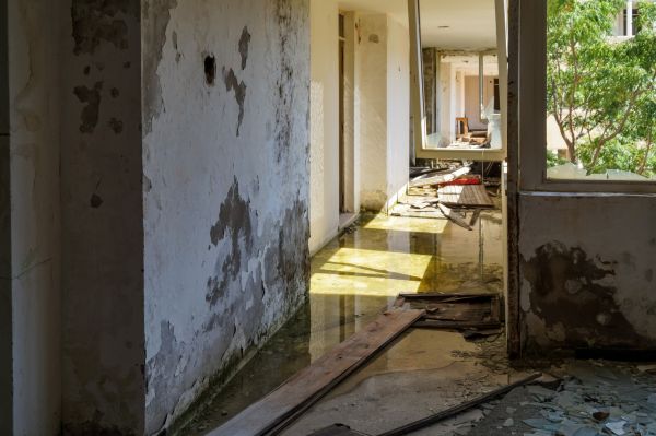 Cost of Water Removal Service in Riverton